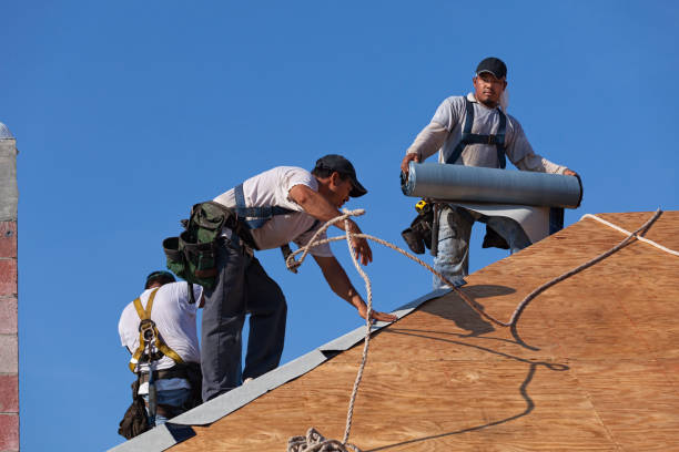 Best Gutter Installation and Roofing  in Lakeview, WA